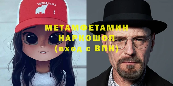 крисы Новокубанск
