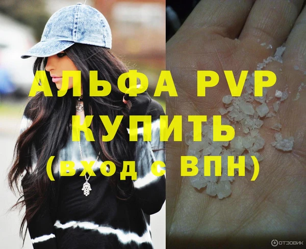 сатива Новозыбков