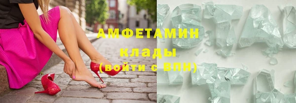 сатива Новозыбков