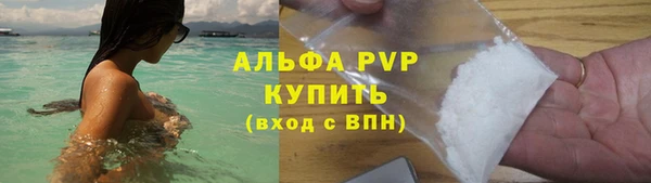сатива Новозыбков