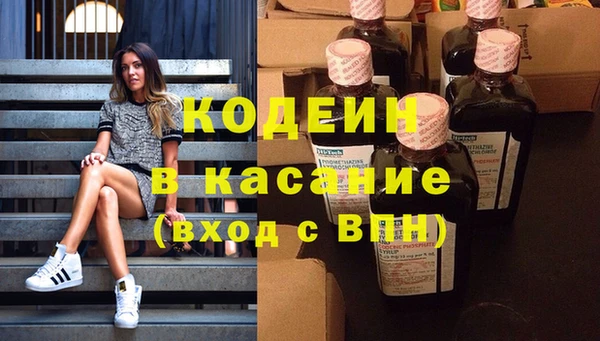 сатива Новозыбков