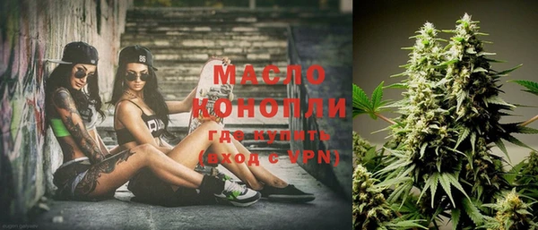 сатива Новозыбков