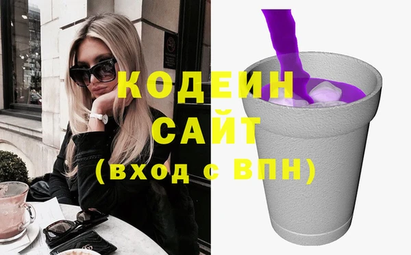 сатива Новозыбков