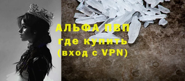 крисы Новокубанск