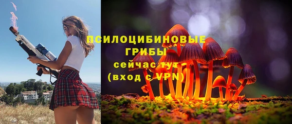 Альфа ПВП Новодвинск