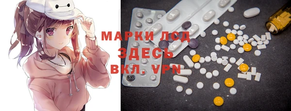 крисы Новокубанск