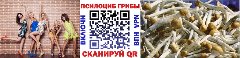 omg рабочий сайт  сколько стоит  Ступино  Псилоцибиновые грибы Psilocybine cubensis 
