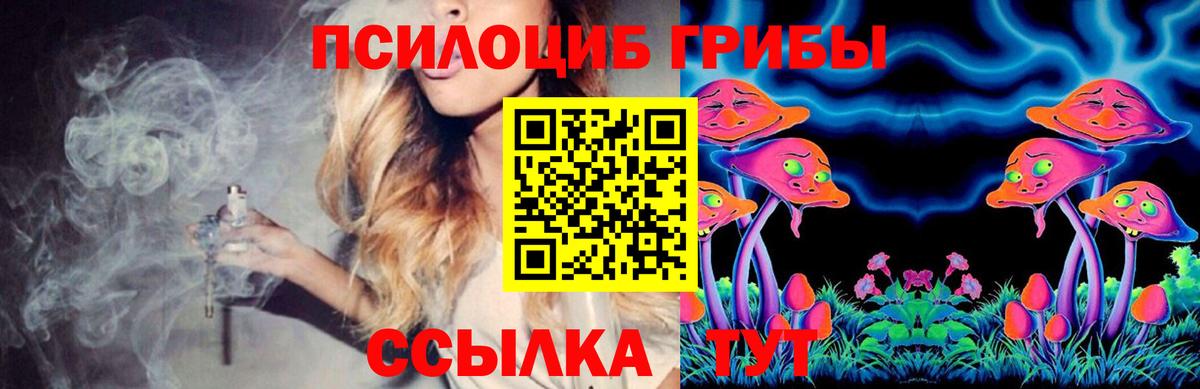 Галлюциногенные грибы Psilocybe  Псилоцибиновые грибы Magic Shrooms  Вход с VPN  Ступино 