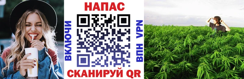 Каннабис тримм Ступино