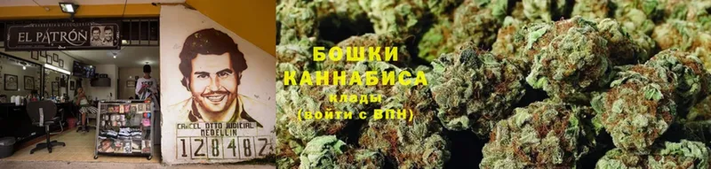 Канабис SATIVA & INDICA  Ступино 